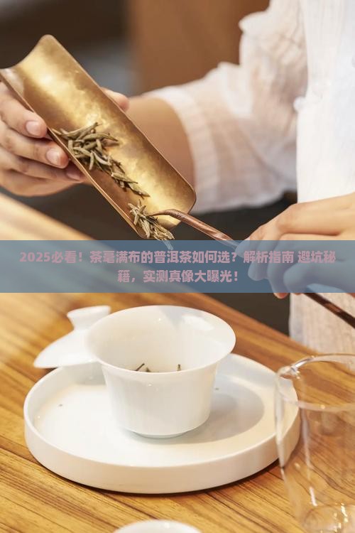 茶毫满布的普洱茶