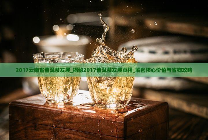 2017云南省普洱茶发展