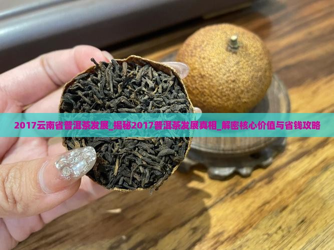 2017云南省普洱茶发展