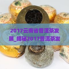 2017云南省普洱茶发展
