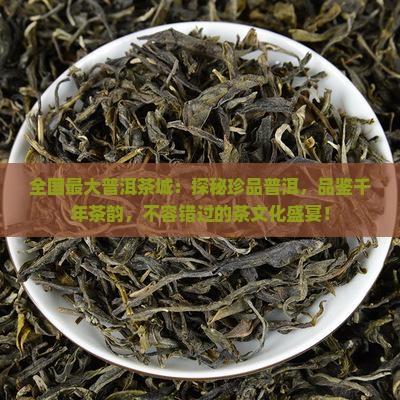 全国最大普洱茶城