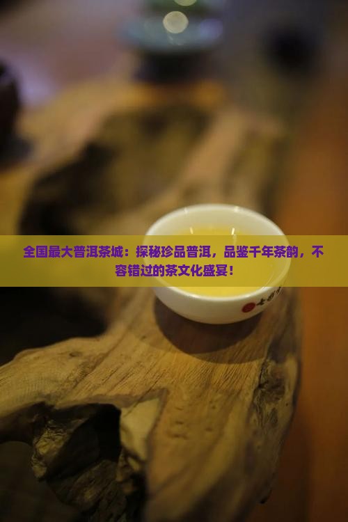 全国最大普洱茶城