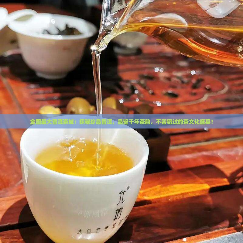 全国最大普洱茶城