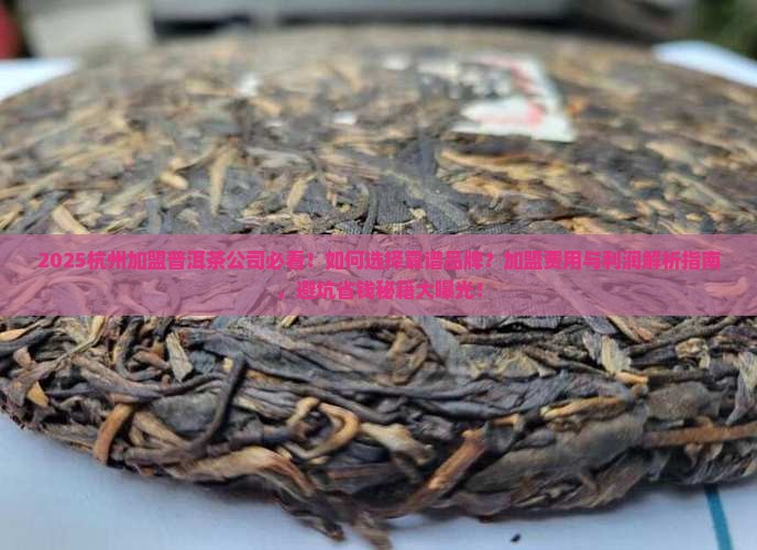 杭州加盟普洱茶公司有哪些