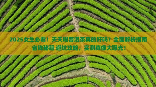女生可以天天喝普洱茶