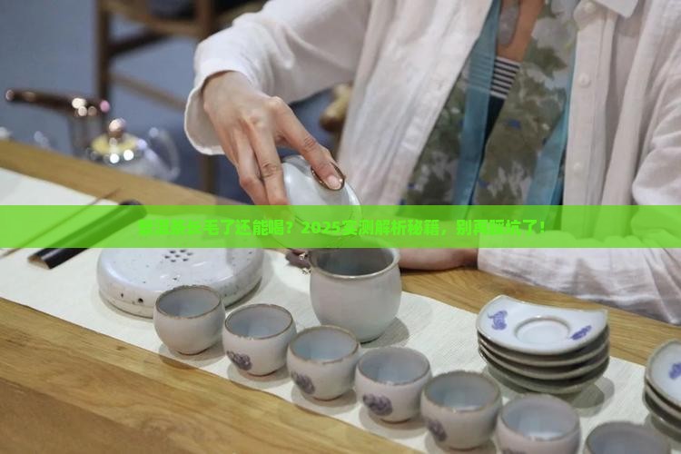 熟普洱茶有点长毛了能喝吗 熟普洱茶有点长毛了能喝吗