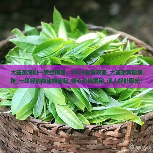 大益茶深圳一级经销商