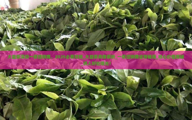 大益茶深圳一级经销商