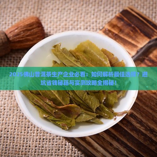 佛山普洱茶生产企业