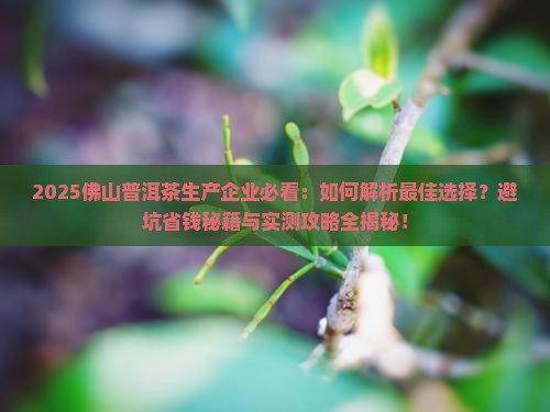 佛山普洱茶生产企业