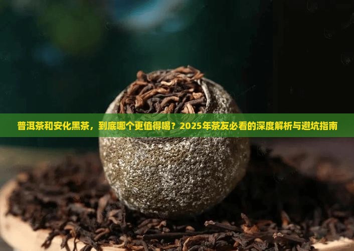 普洱茶和安化黑茶
