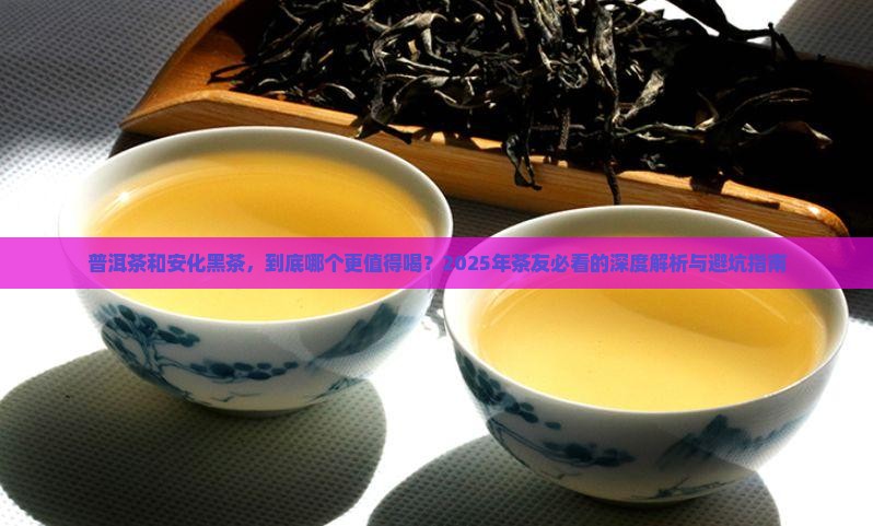 普洱茶和安化黑茶