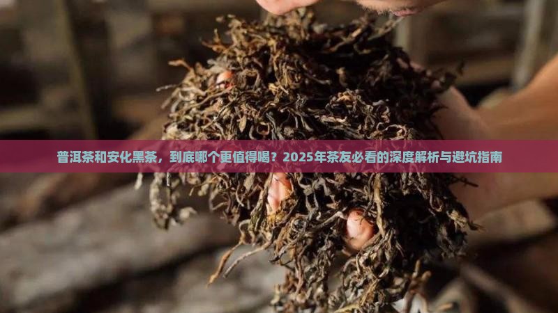 普洱茶和安化黑茶