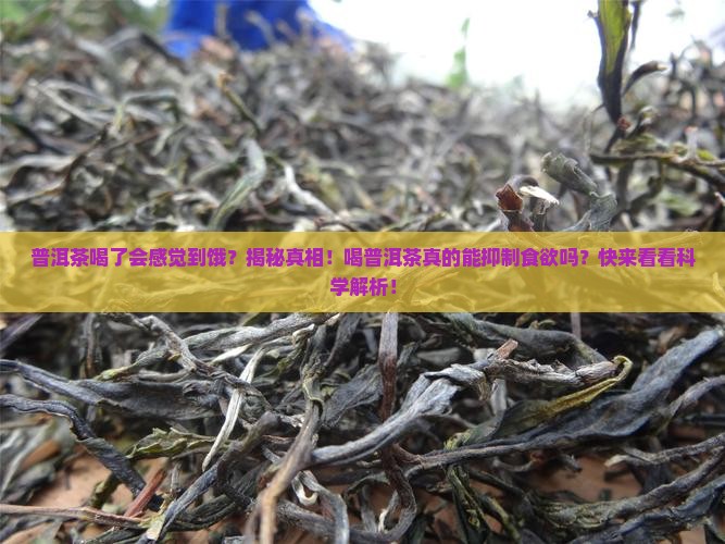 普洱茶喝了会感觉到饿