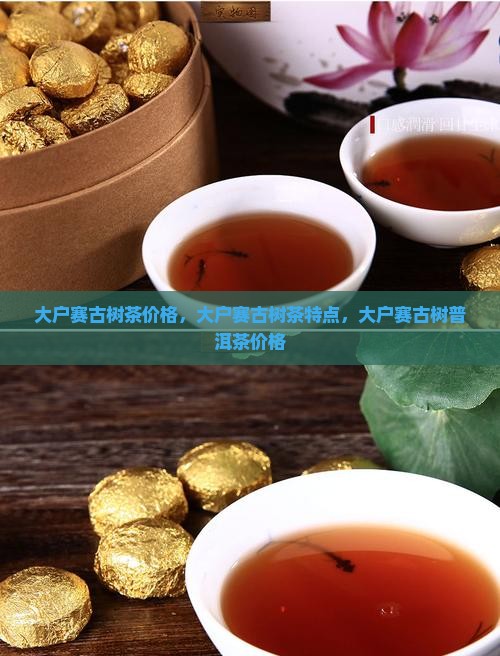 大户赛古树茶价格 大户赛古树茶价格