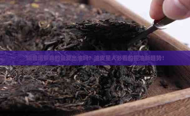 喝普洱茶爱出油 喝普洱茶爱出油