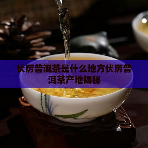 伏厉普洱茶是什么地方 伏厉普洱茶是什么地方