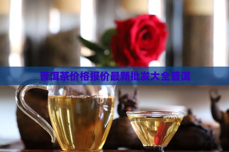 熹宝堂普洱茶价格