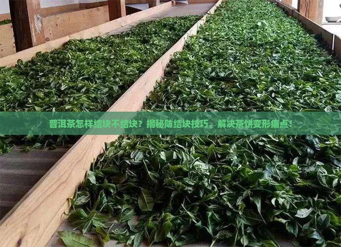 普洱茶怎样结块不结块呢 普洱茶怎样结块不结块呢