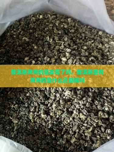 普洱茶黄黄的是发霉了吗