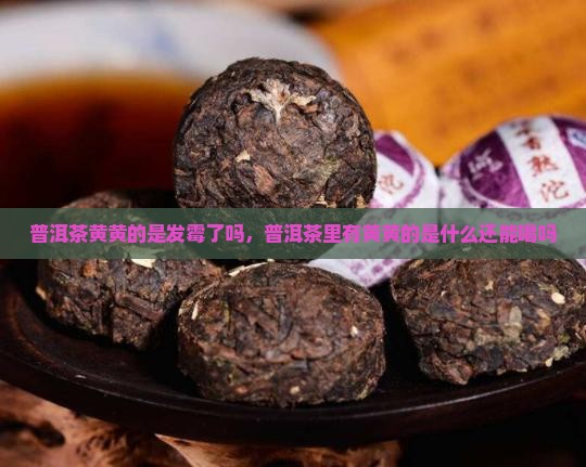 普洱茶黄黄的是发霉了吗