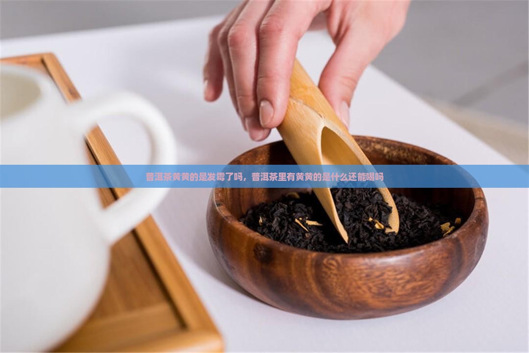 普洱茶黄黄的是发霉了吗
