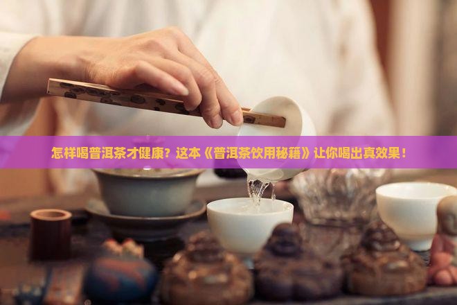 怎样喝普洱茶健康