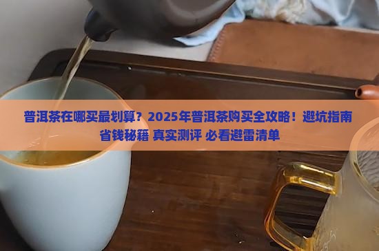 普洱茶在哪买东西需要什么