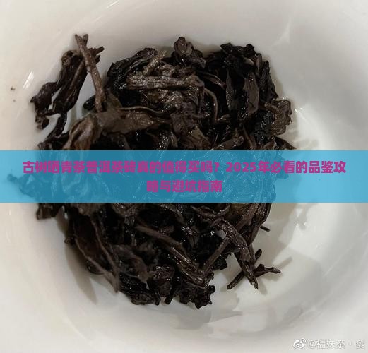 古树晒青茶普洱茶砖
