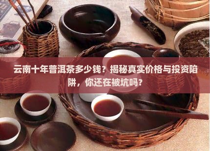 云南十年普洱茶多少钱