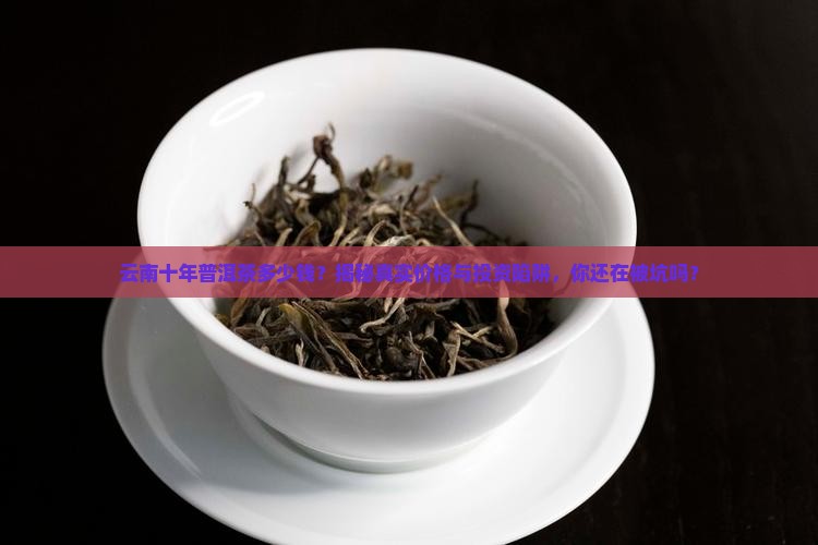 云南十年普洱茶多少钱