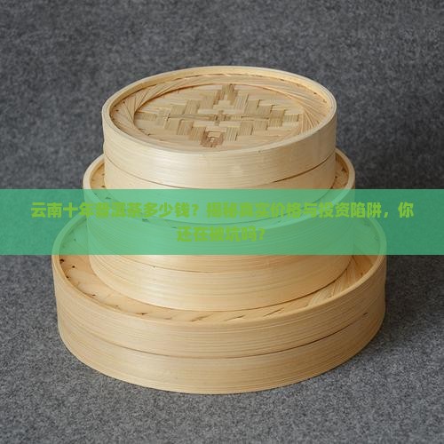 云南十年普洱茶多少钱