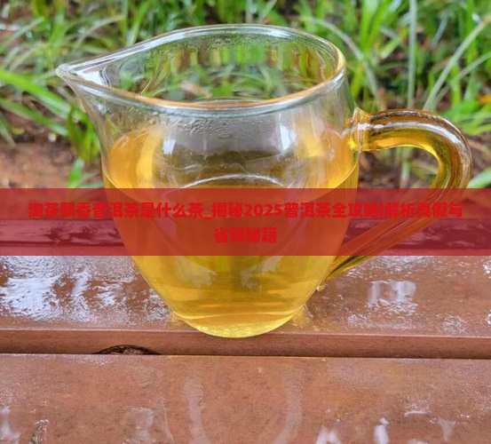 淘茶飘香普洱茶是什么茶