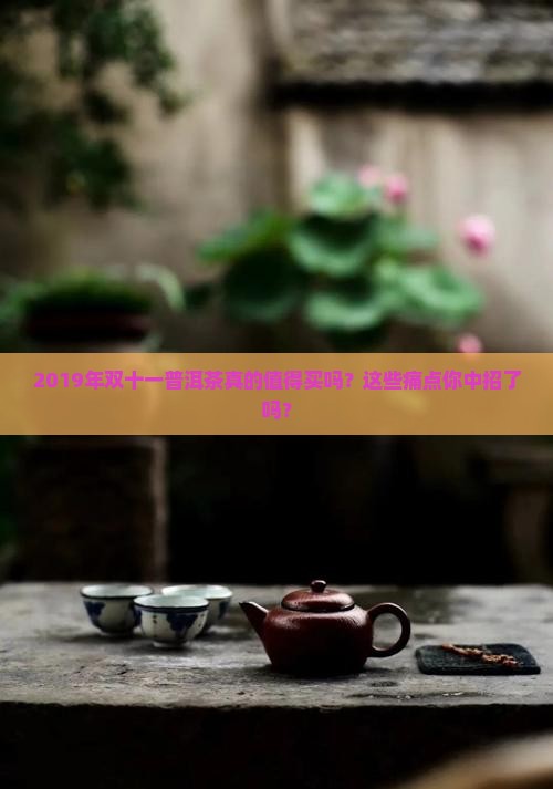 2019年双十一普洱茶