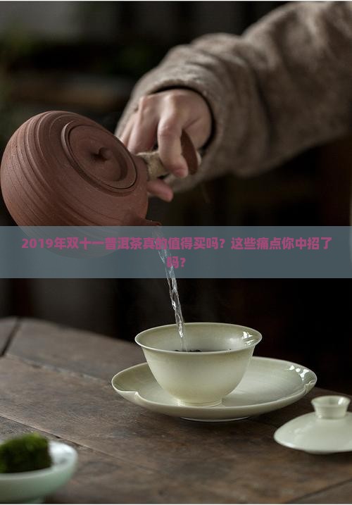 2019年双十一普洱茶