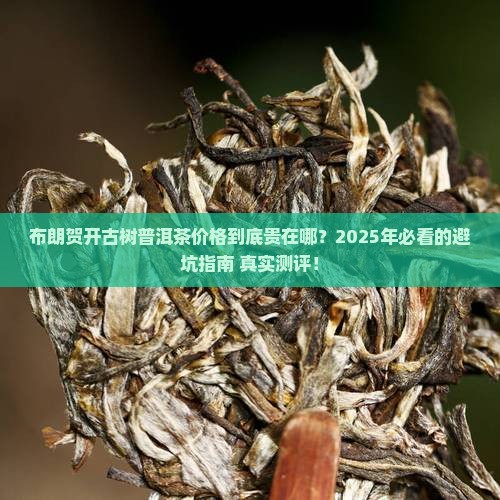 布朗贺开古树普洱茶价格