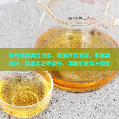 泉州哪里卖普洱茶