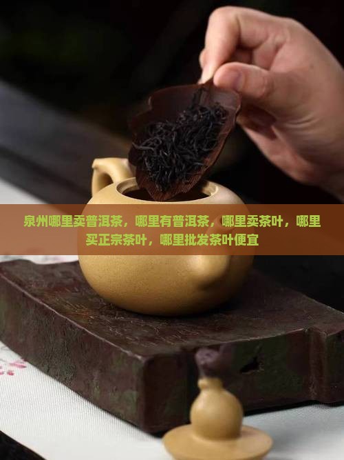 泉州哪里卖普洱茶