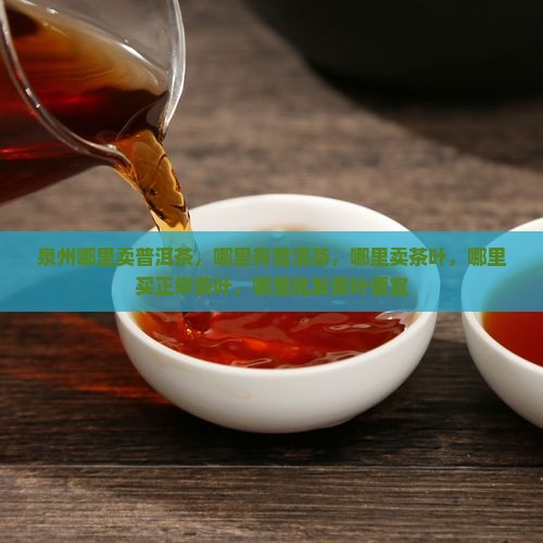 泉州哪里卖普洱茶
