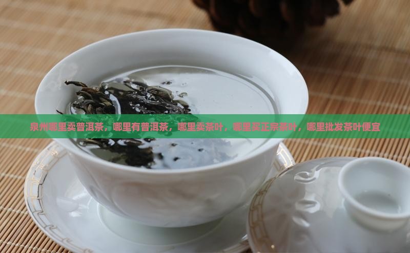 泉州哪里卖普洱茶