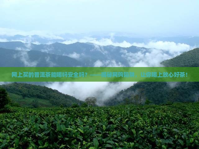 网上买的普洱茶能喝吗安全吗