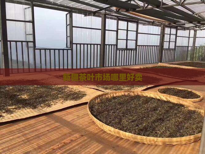 新疆茶叶市场哪里好卖