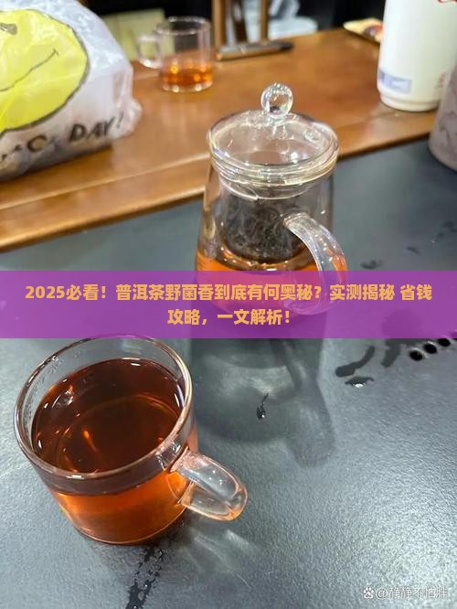 什么是普洱茶野菌香