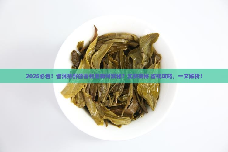 什么是普洱茶野菌香