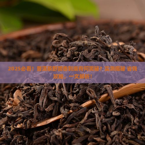 什么是普洱茶野菌香