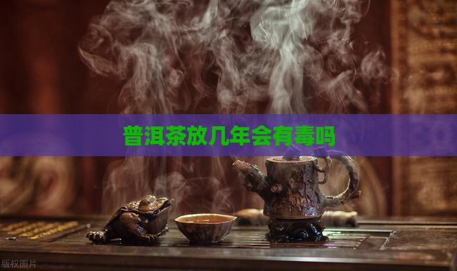 普洱茶放几年会有毒吗