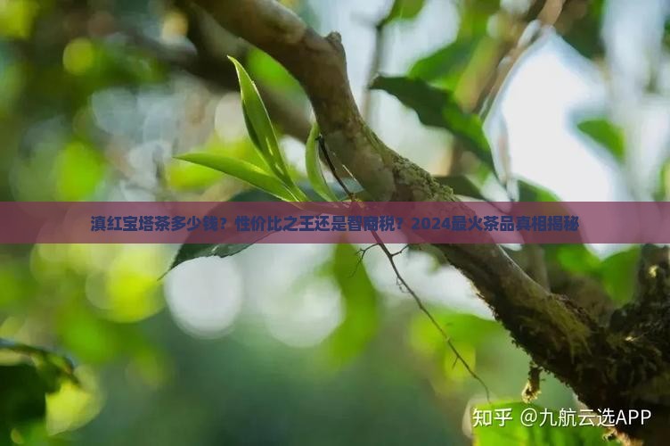 滇红宝塔茶多少钱