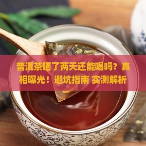 普洱茶晒了两天能喝吗