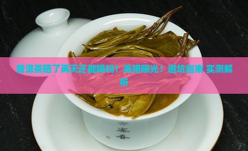 普洱茶晒了两天能喝吗