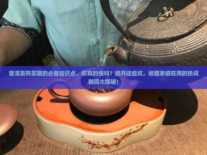普洱茶购买藏的必备知识点